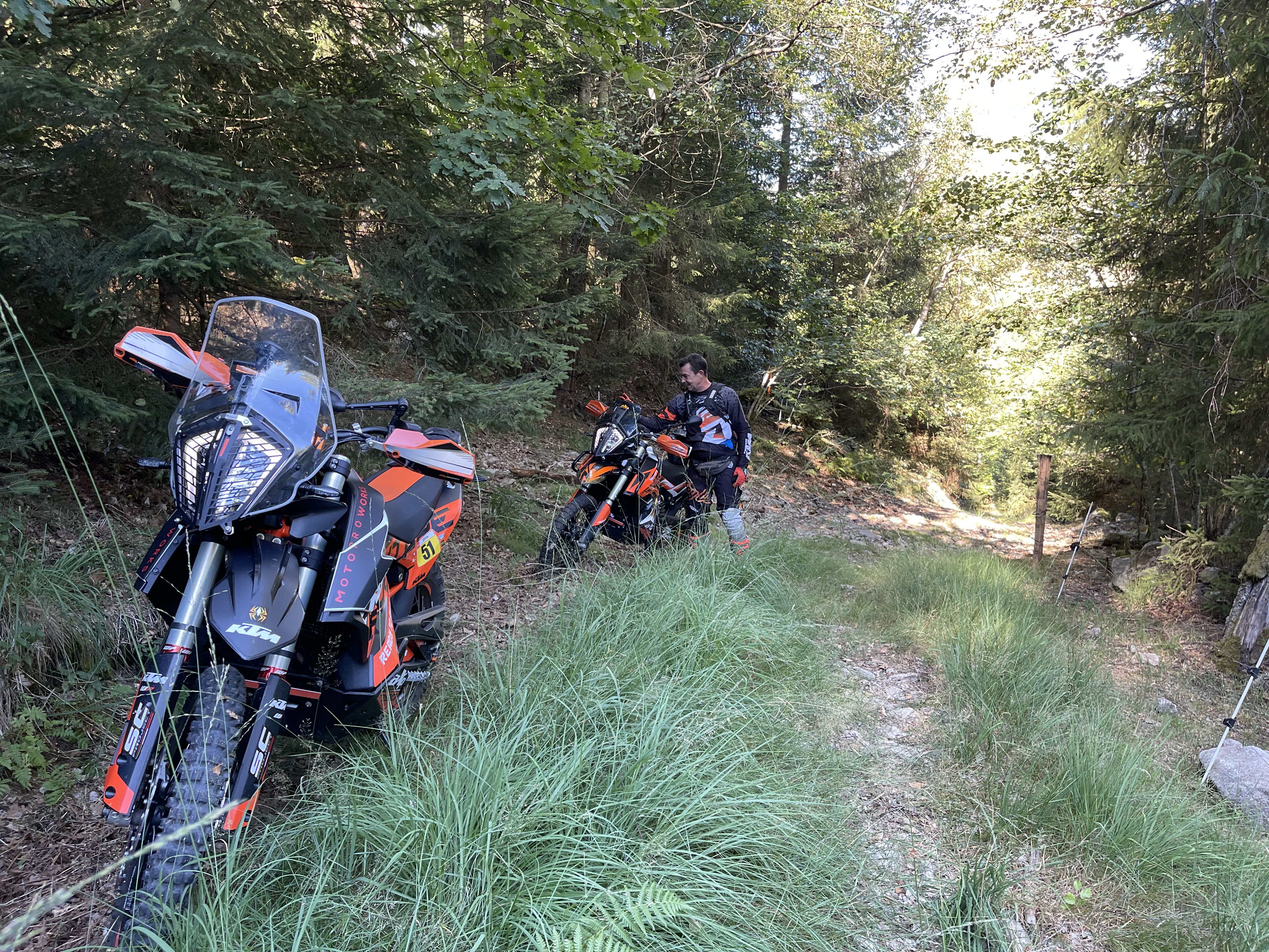 reise-la-bresse 5