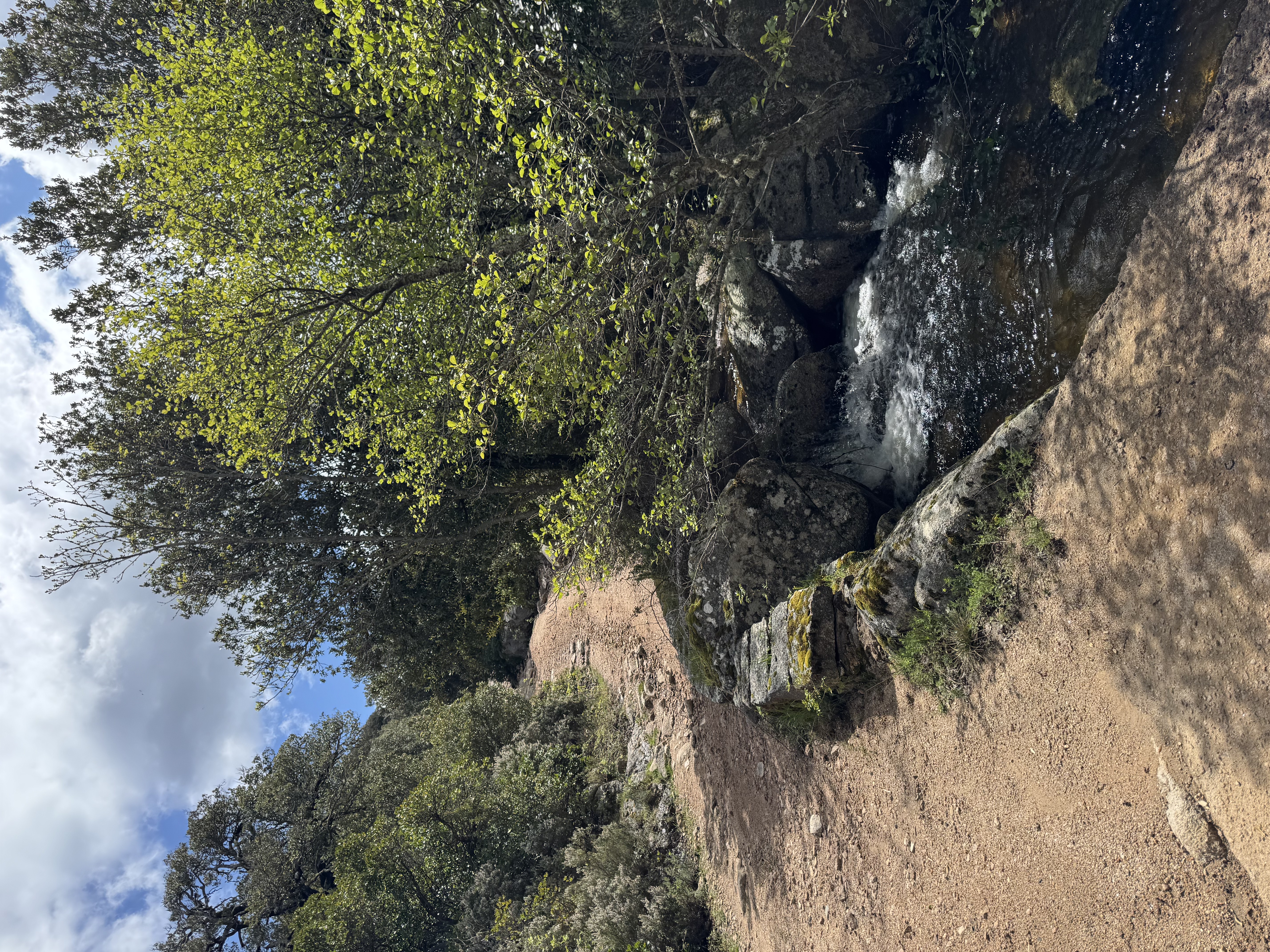 reise-sardinien-2025 10