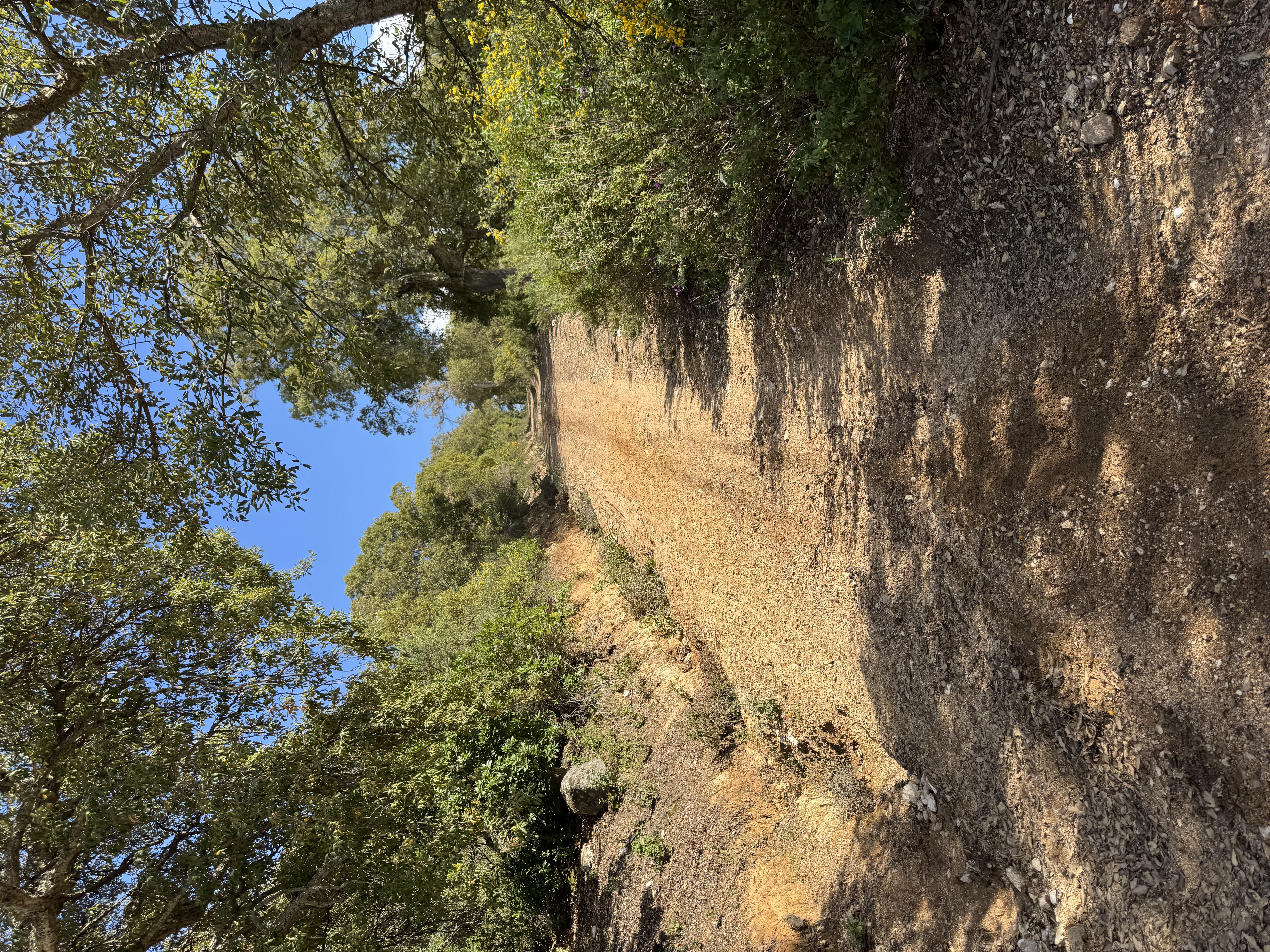 reise-sardinien-2025 13